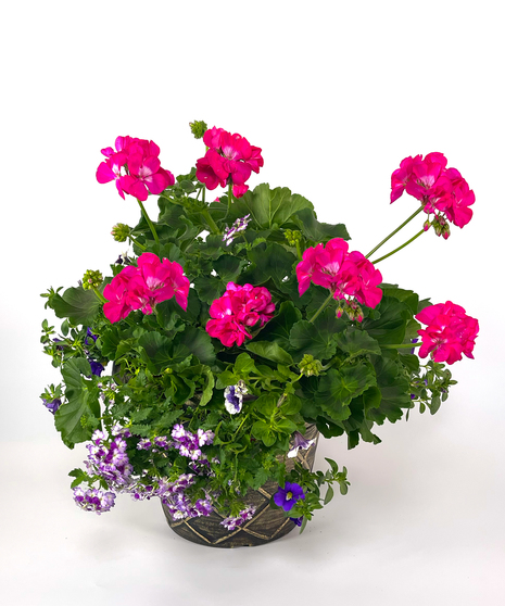 Premium Decorative Planter