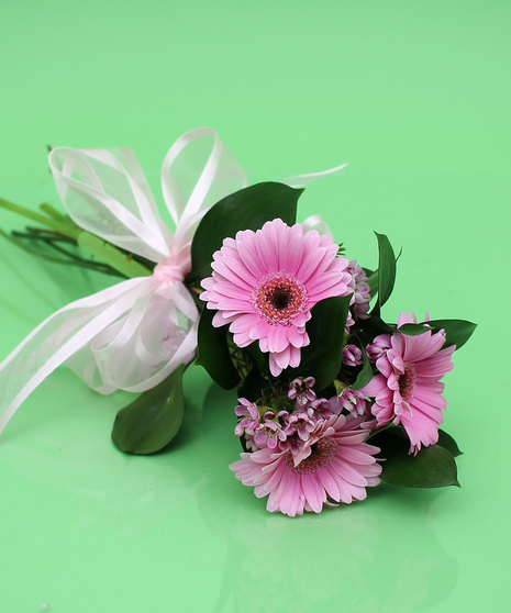 Gerbera Daisy Presentation Bouquet - Same Day Delivery, Danvers MA