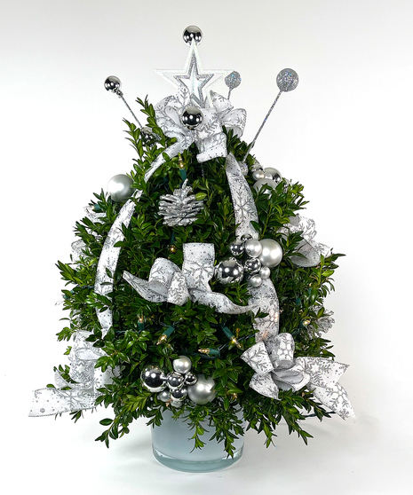 Snow Holding Back Boxwood Tree