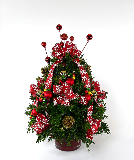 Time For Peppermints Boxwood Tree