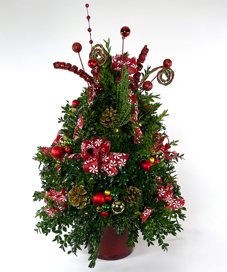 We've taken the finest premium boxwood tips from Virginia and designed a beautiful boxwood tree, then trimmed it with lights and beautiful ribbons, cones and ball clusters.