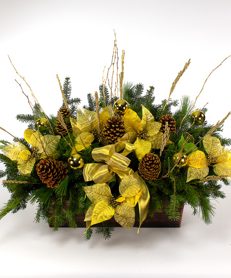 Gold Poinsettia Window Box