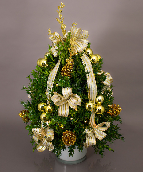 We've taken the finest premium boxwood tips from Virginia and designed a beautiful boxwood tree, then trimmed it with lights and beautiful ribbons, cones and ball clusters.