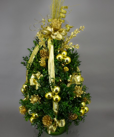 Gold Themed Boxwood Tree