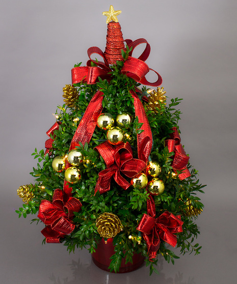 We've taken the finest premium boxwood tips from Virginia and designed a beautiful boxwood tree, then trimmed it with lights and beautiful ribbons, cones and ball clusters.