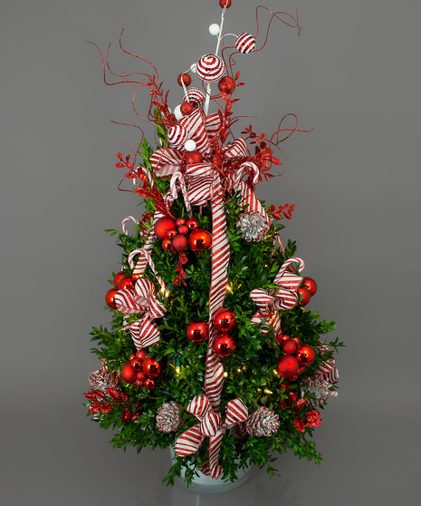 Candy Cane Themed Boxwood Tree