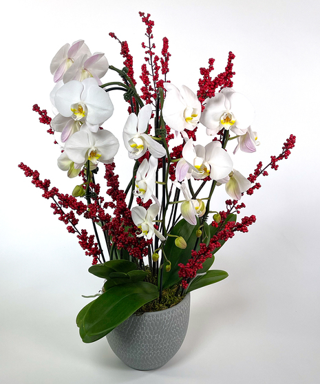 Winter Waterfall Orchid Planter