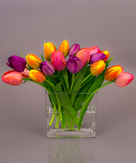 Currans Grown Tulip Vase - Easter / Spring Flowers