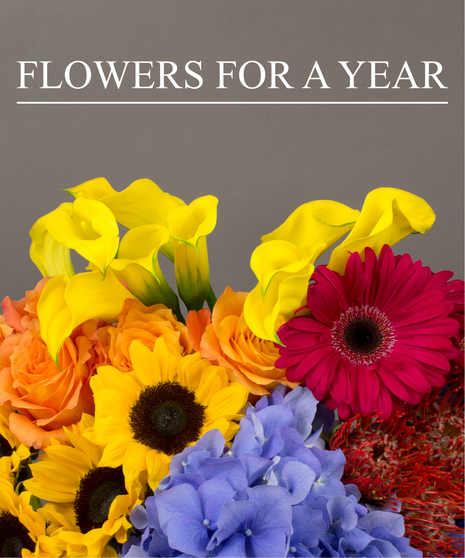 Flowers for a Year
