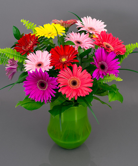 Gerbera Arrangement