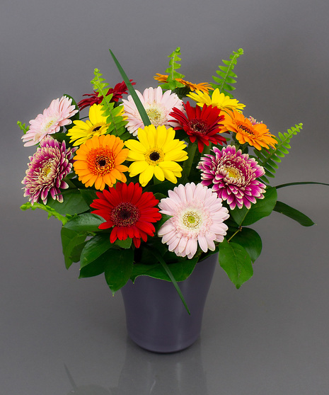 Gerbera Arrangement - design of 15 gerbera daisies in one of our imported Dutch vases