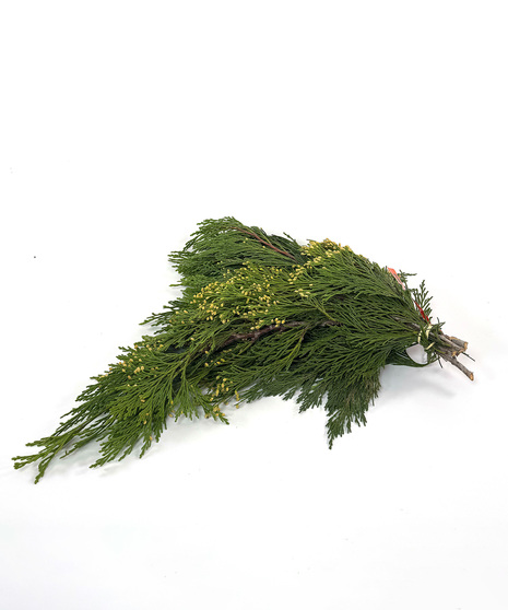 Incense Cedar Bunches