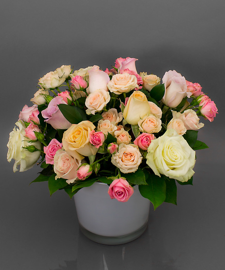 Rose Sorbet Elegance