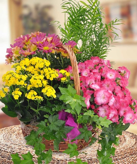 Summertime Blooming Garden Basket