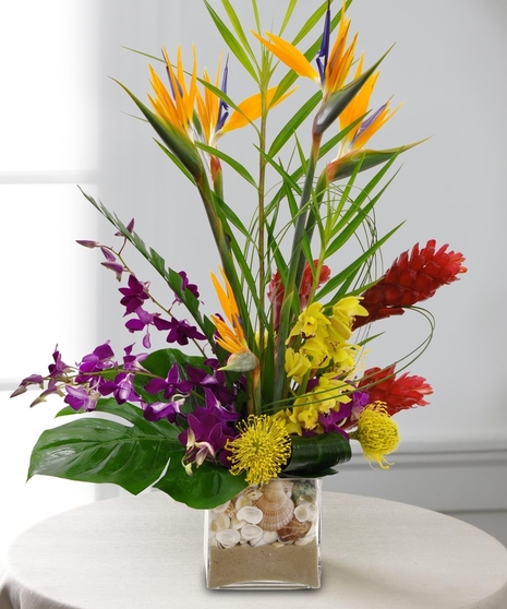 Orchid Artistry