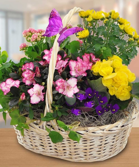 Garden Basket