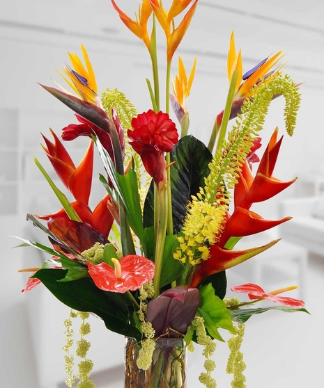Tropical Prestige