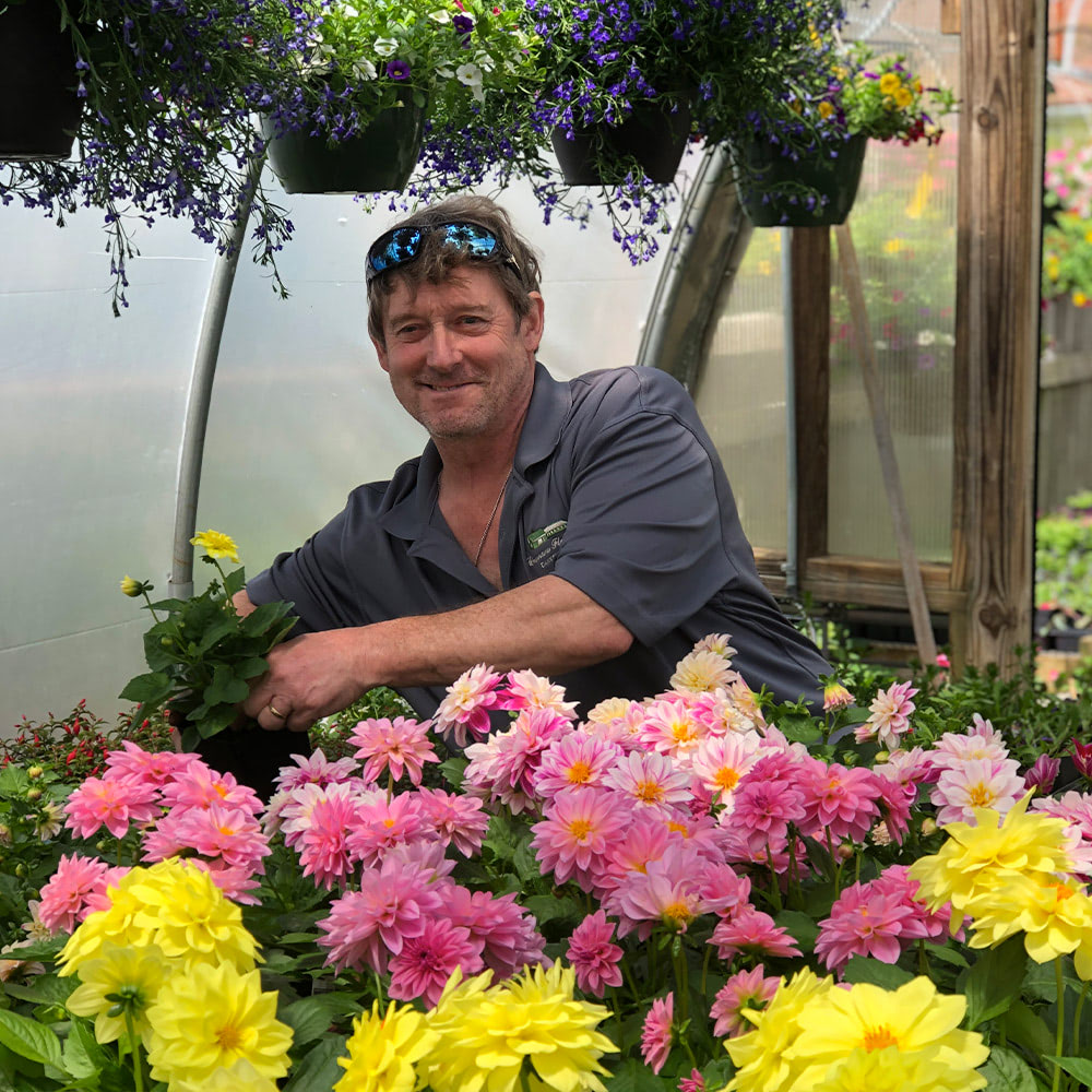 Currans Flowers Flowers, Plants & Gift Delivery Danvers, MA